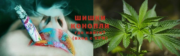 мяу мяу мука Белокуриха