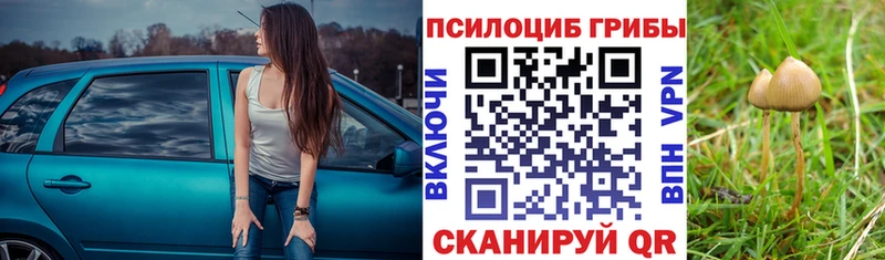 Псилоцибиновые грибы ЛСД  даркнет сайт  Верхотурье 